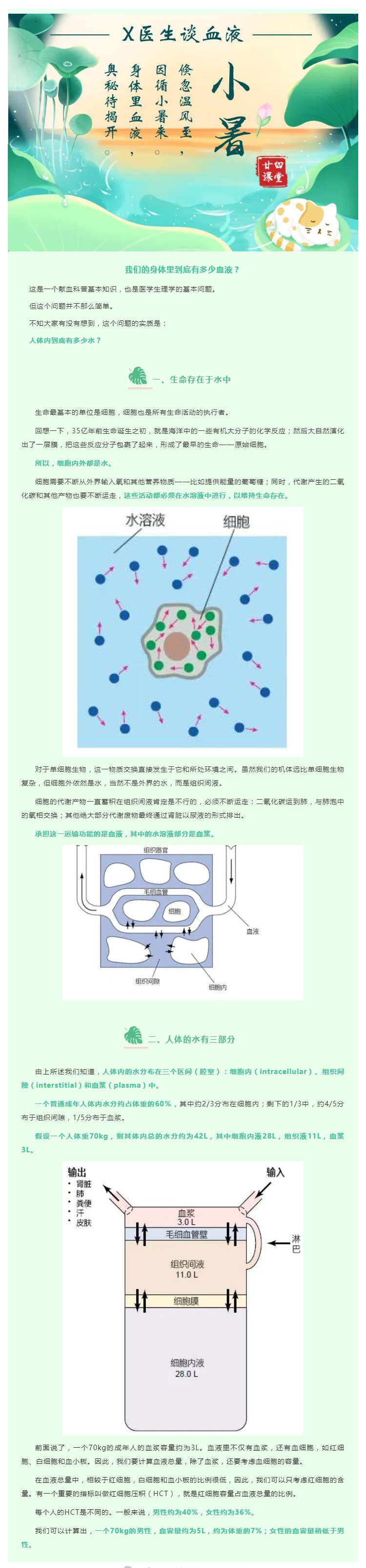 我们的身体里到底有多少血液？01.jpg