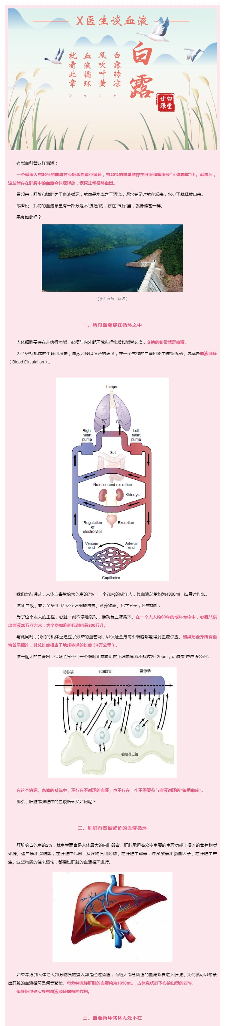 献血需要动员肝脾“储血库”吗？01.jpg