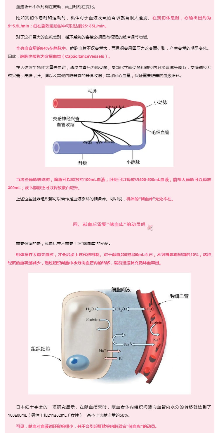 献血需要动员肝脾“储血库”吗？02.jpg